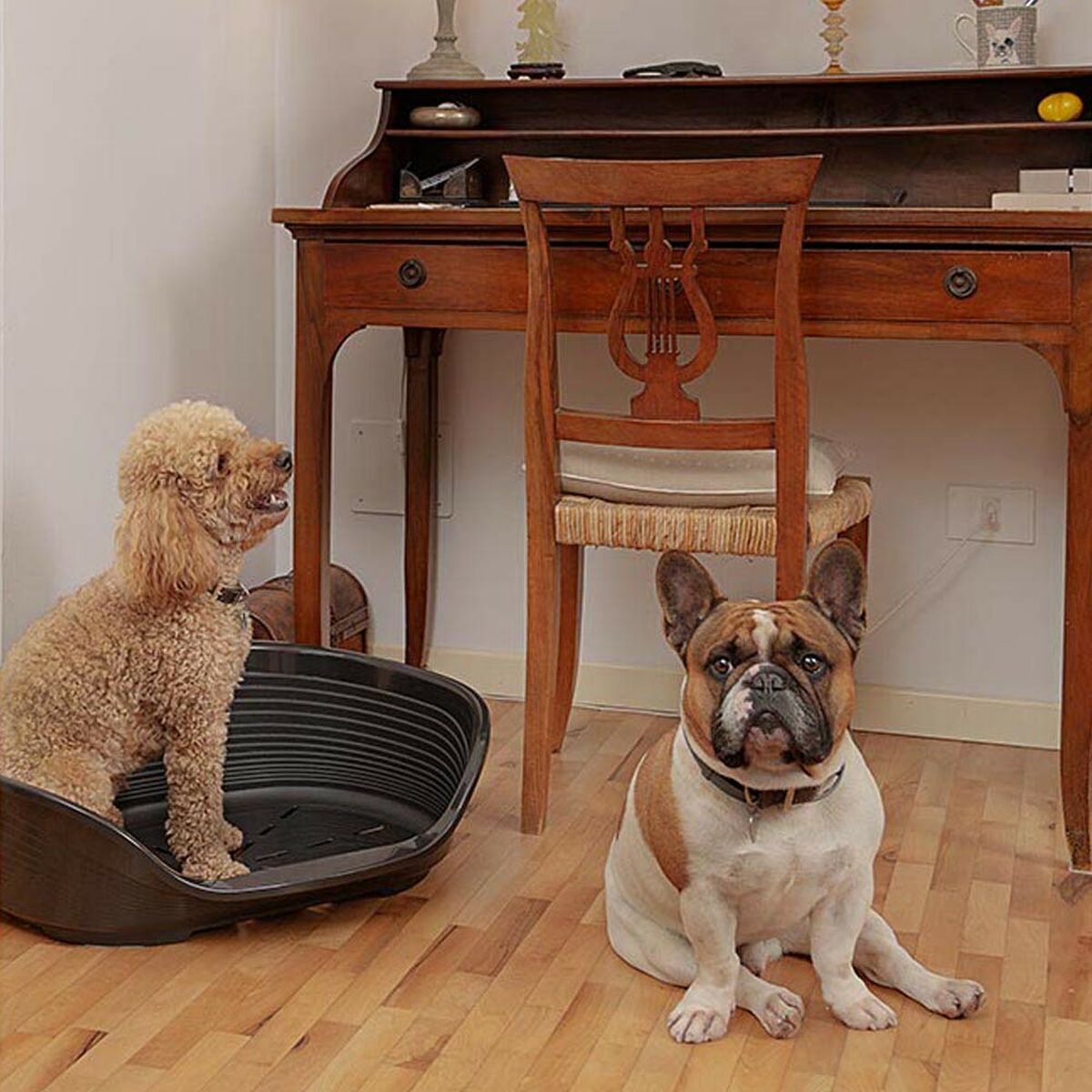 Pat pentru câine Ferplast Siesta Deluxe 6 Negru 70,5 x 52 x 23,5 cm