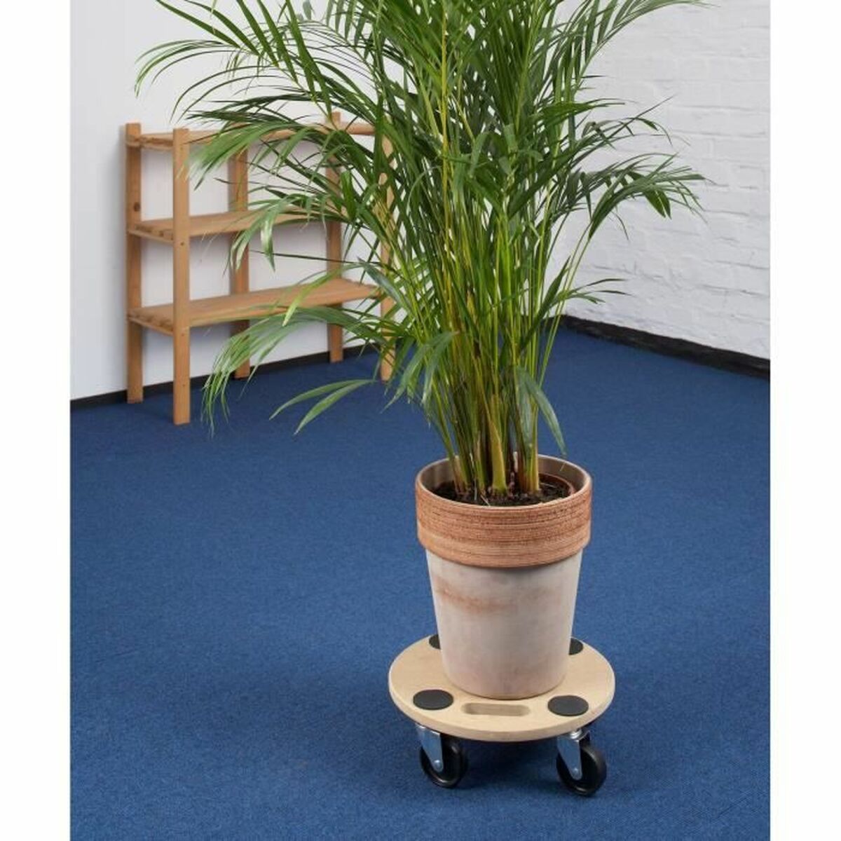 Bază cu roți Meister 35 x 11 x 35 cm 150 kg Ø 35 cm