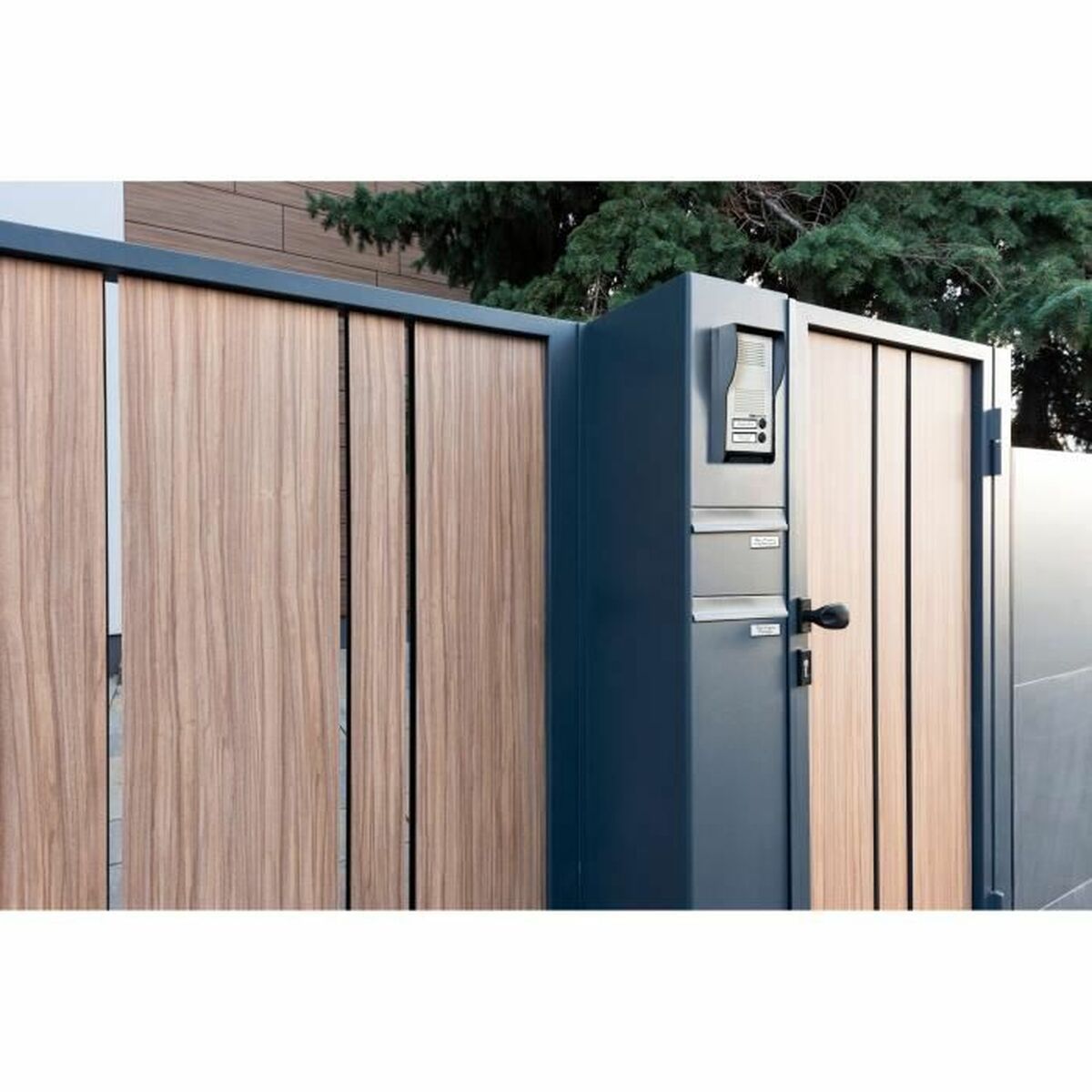 Interfon SCS SENTINEL PAF0007 7 x 10,7 x 21,6 cm Metal