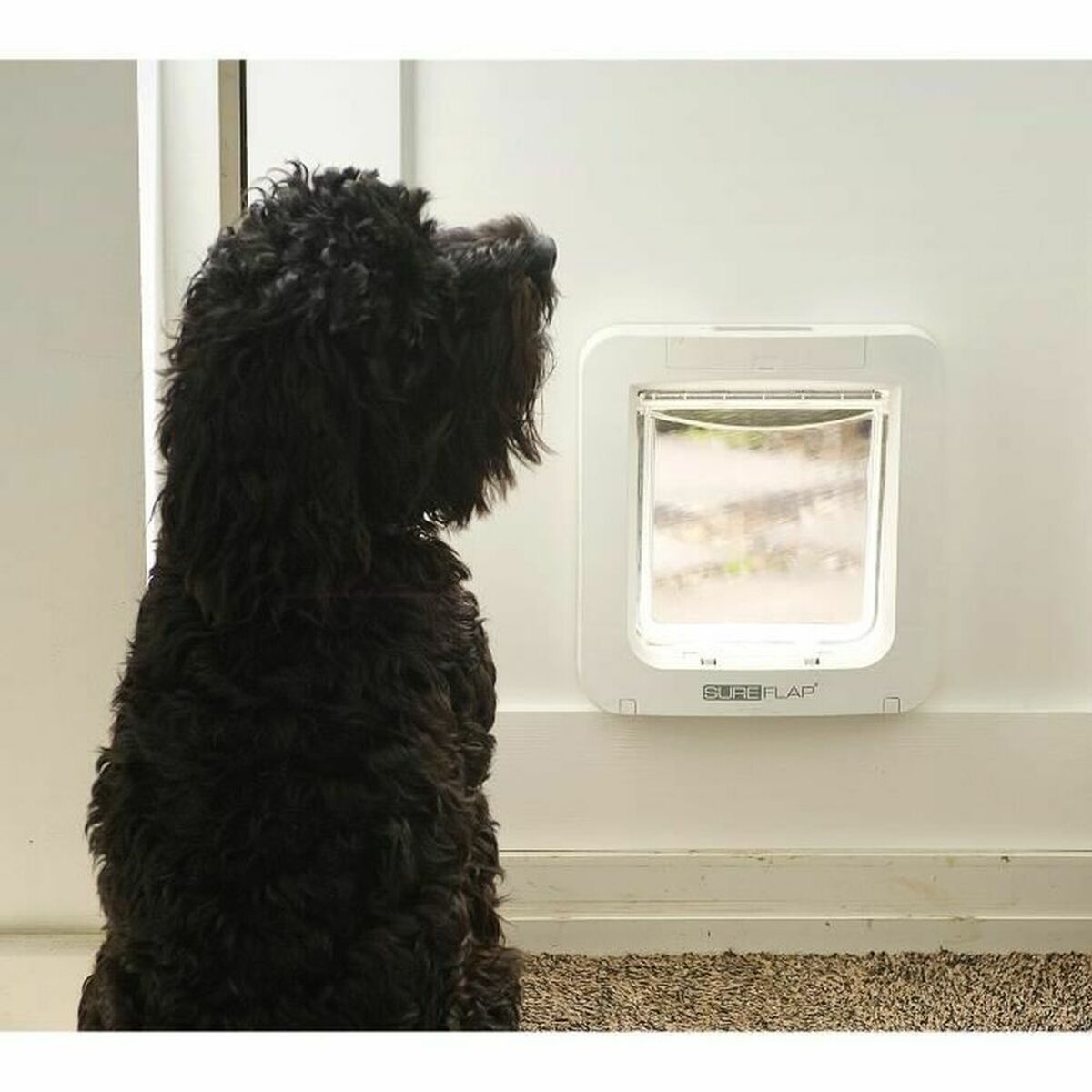 Ușiță pentru pisică SureFlap SUR101 17,8 x 17 cm