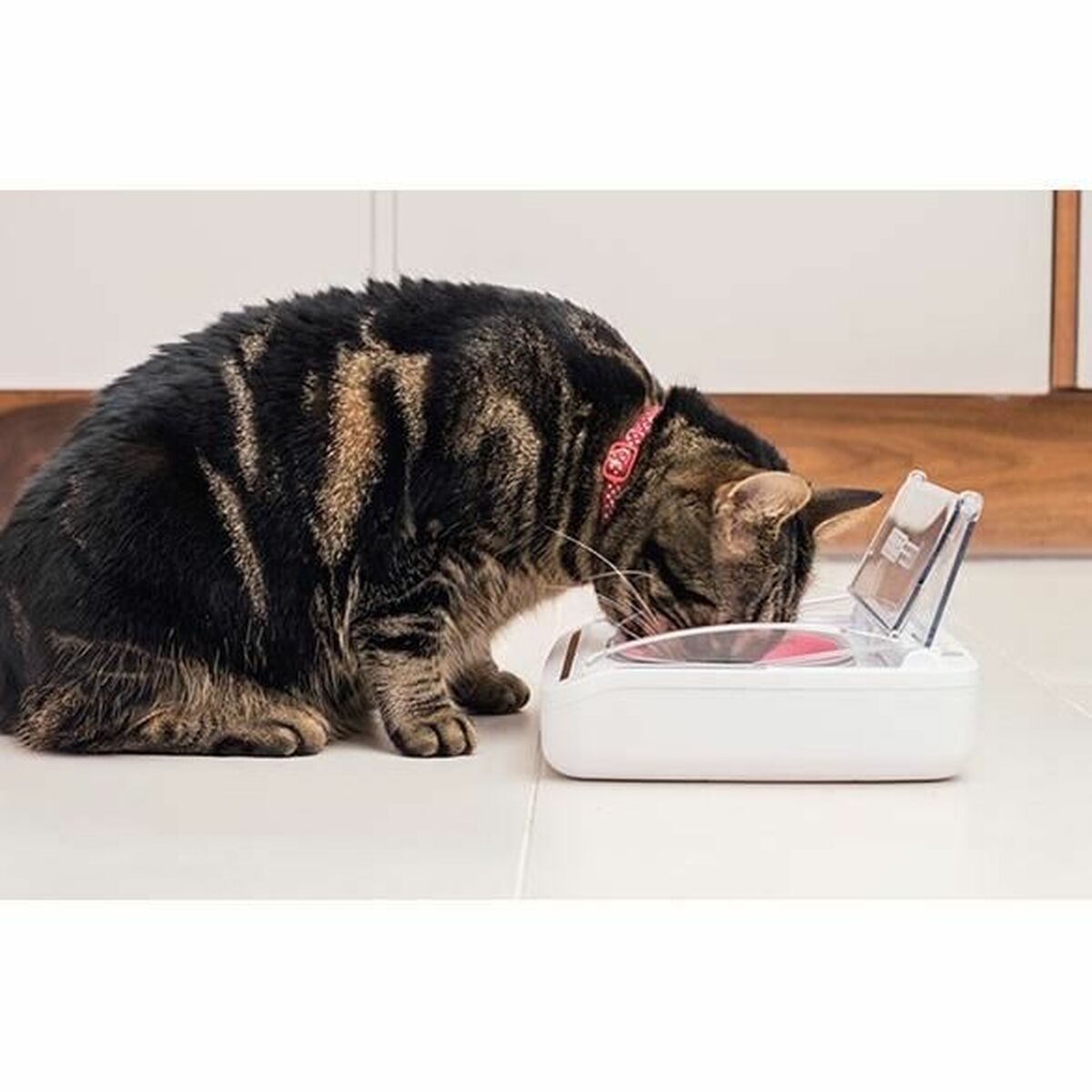 Alimentator automat SureFlap SureFeed 400 ml Baterii x 2