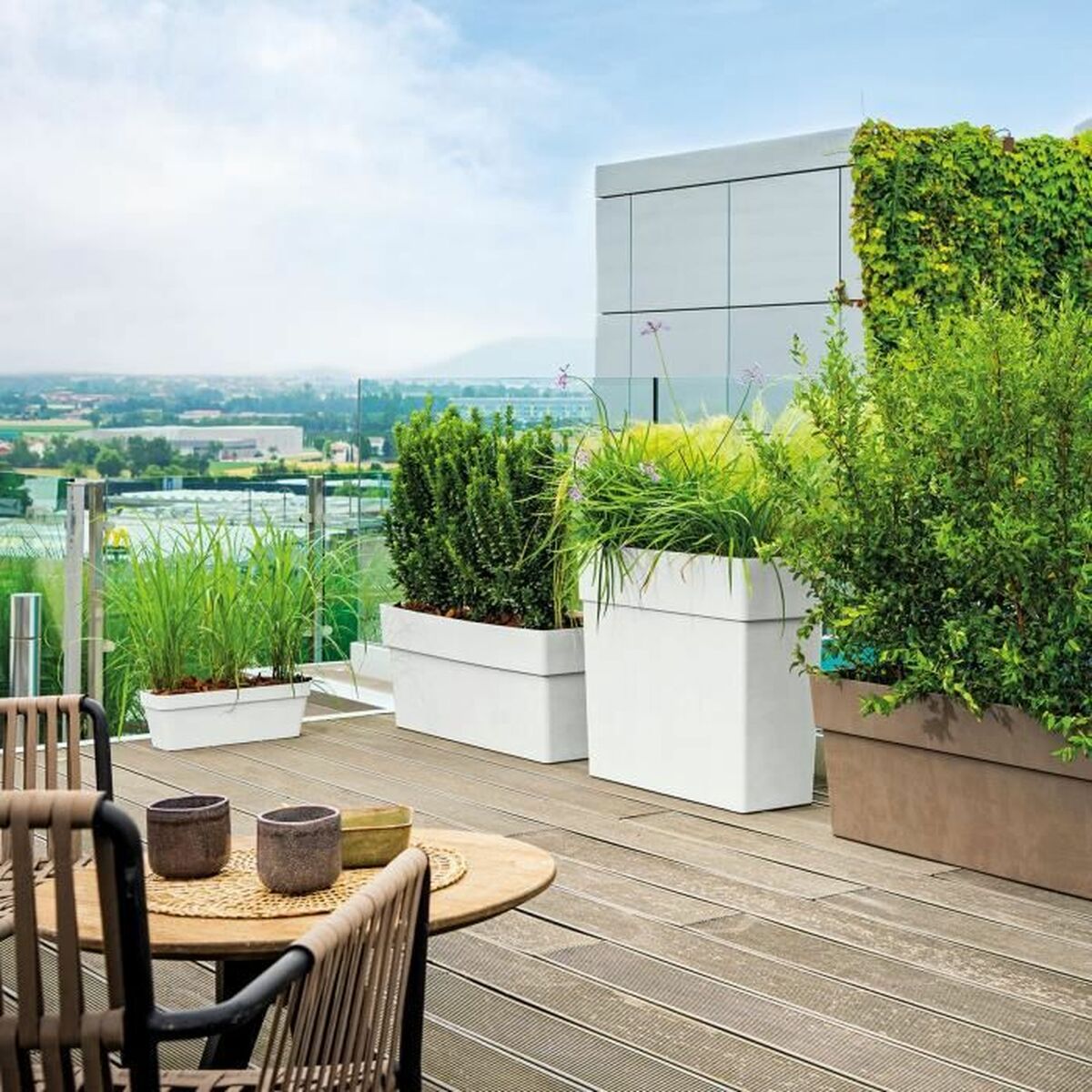 Ghiveci Deroma Like R Alb