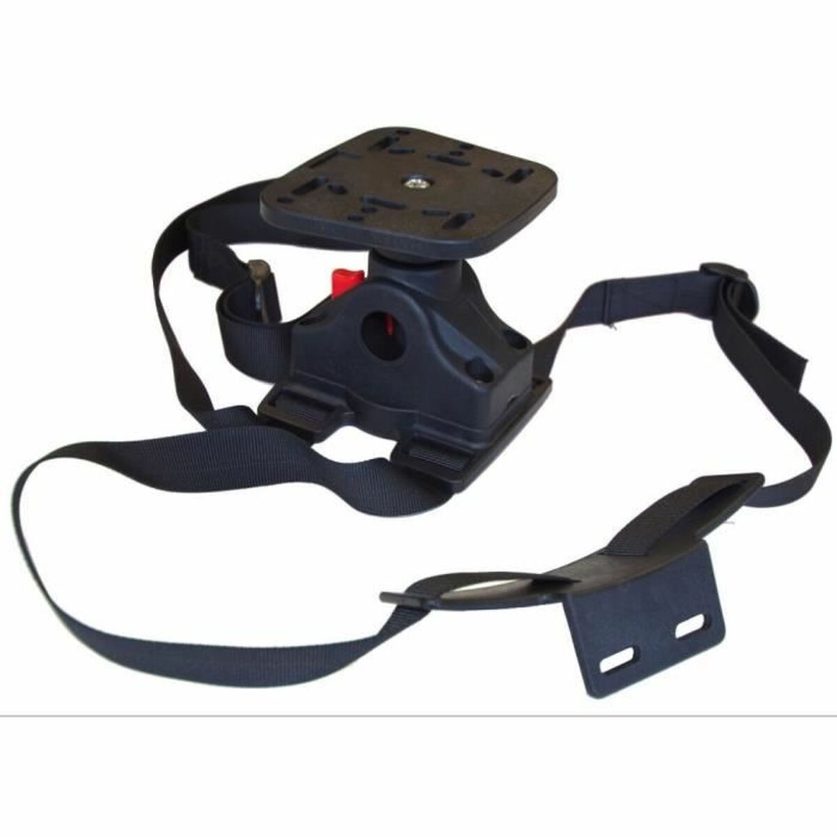 Instrument 7 SEVEN BASS DESIGN