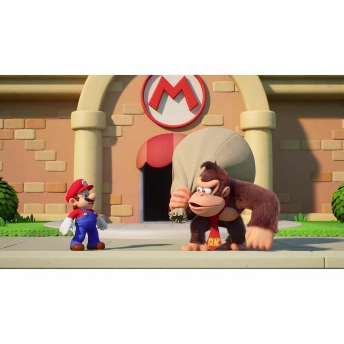 Joc video pentru Switch Nintendo Mario vs. Donkey Kong (FR)
