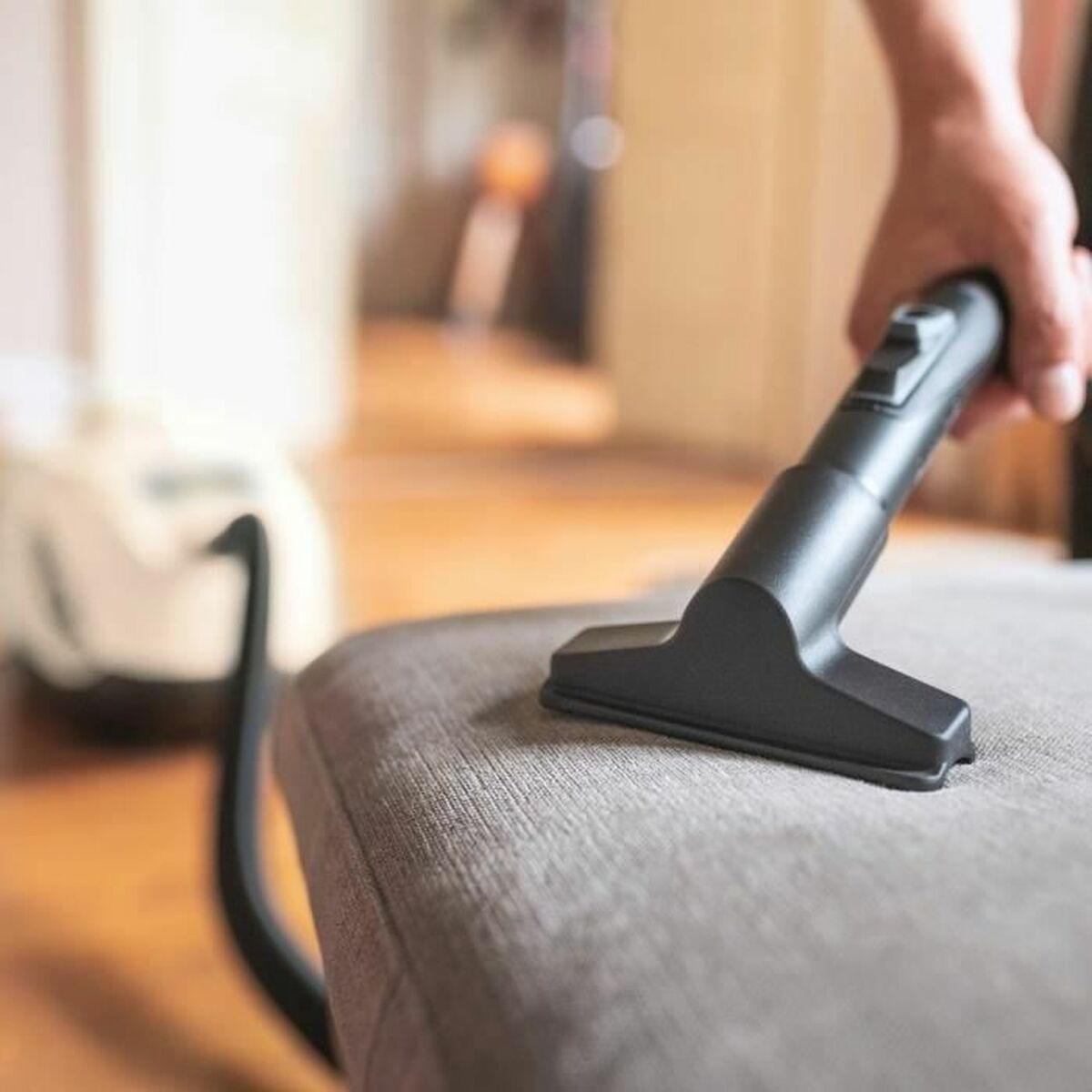 Extractor Kärcher Alb 650 W 2 L