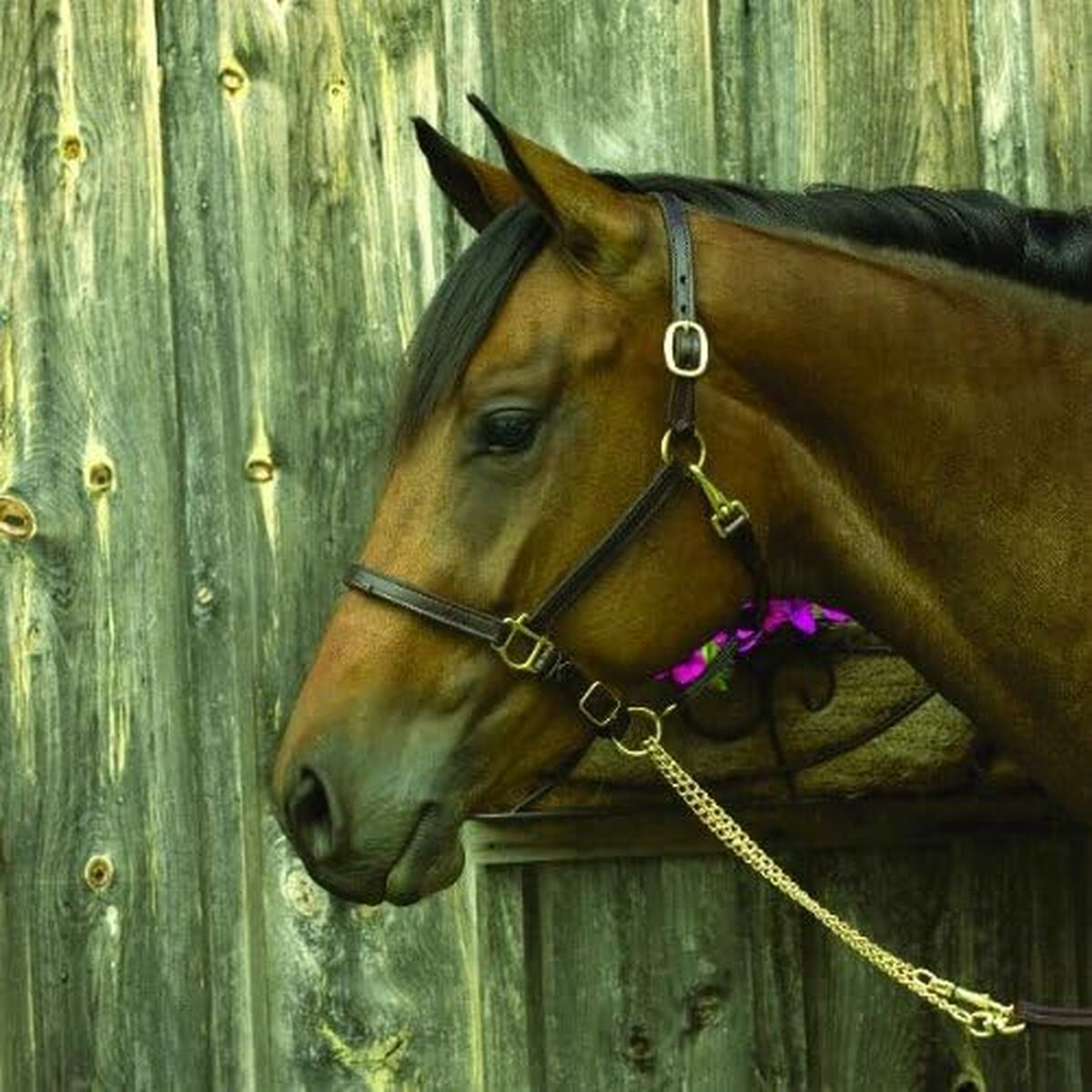 Inel Damă Majorica 17218.01.1.913.010.1