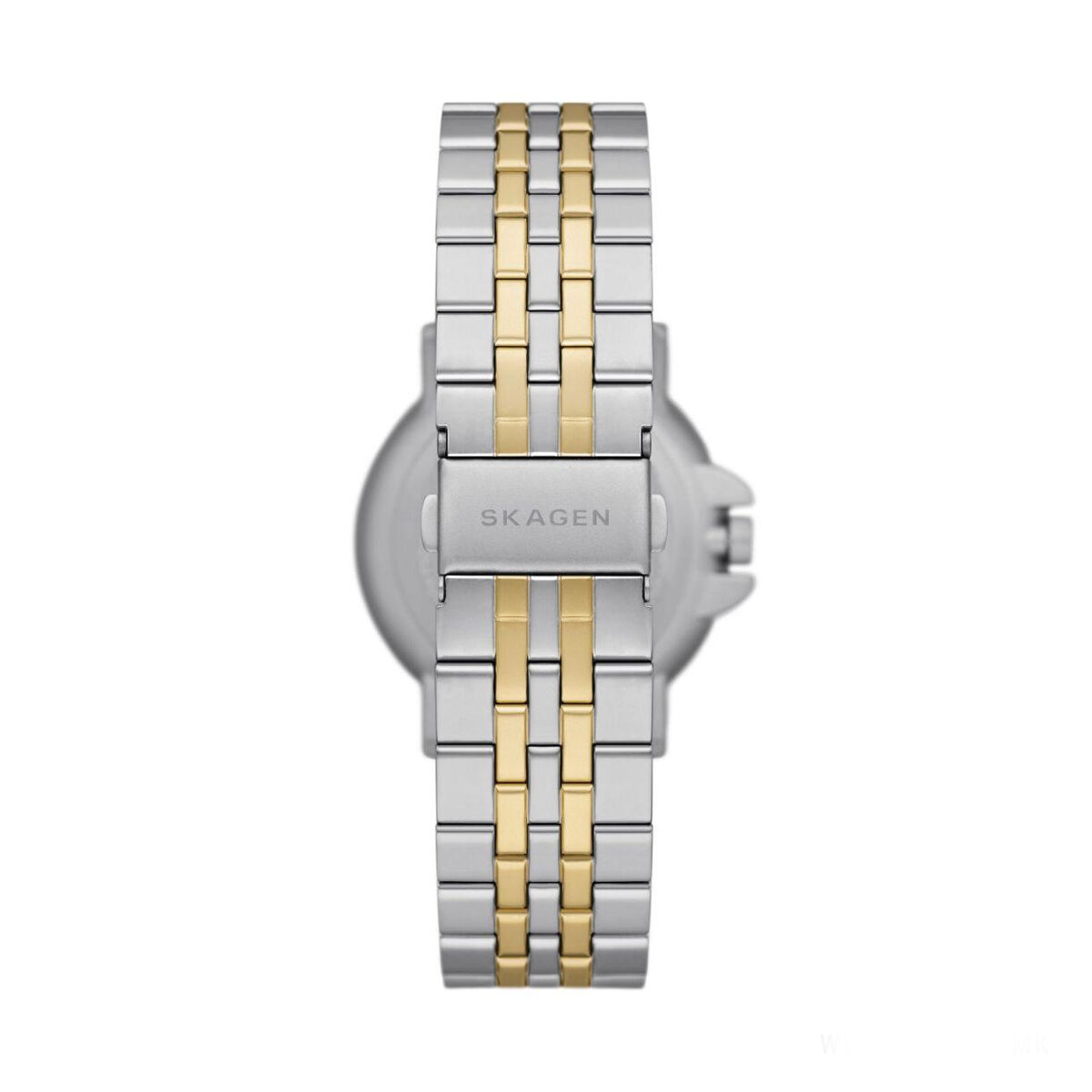 Ceas Bărbați Skagen SKW6921 Argintiu (Ø 40 mm)