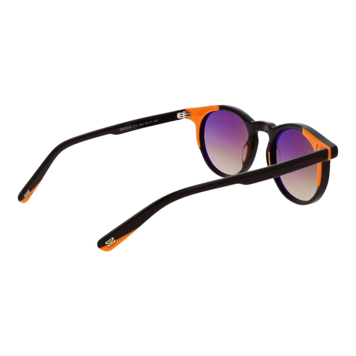 Ochelari de Soare Bărbați Funky Buddha FBS2034 52004 Negru