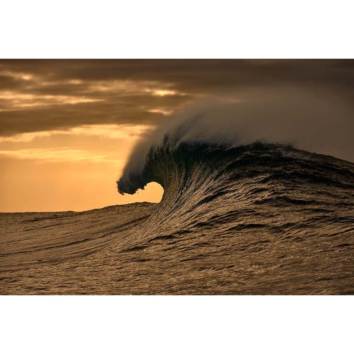 Ramă de Ochelari Damă O'Neill ONB-4031 52108