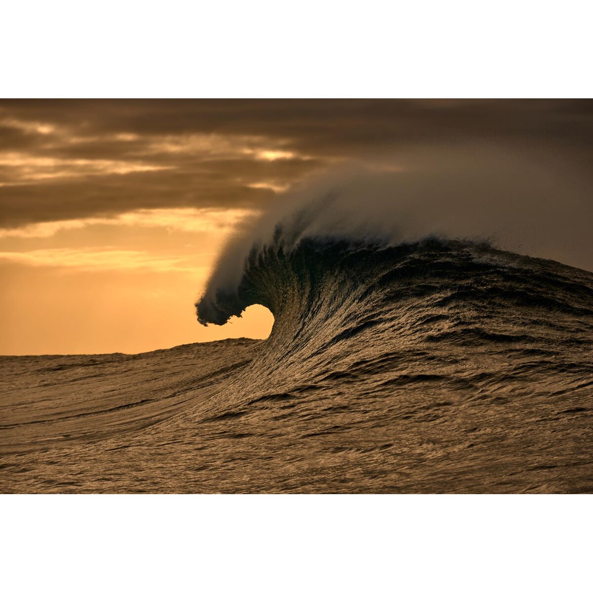 Ramă de Ochelari Bărbați O'Neill ONO-4518 53107