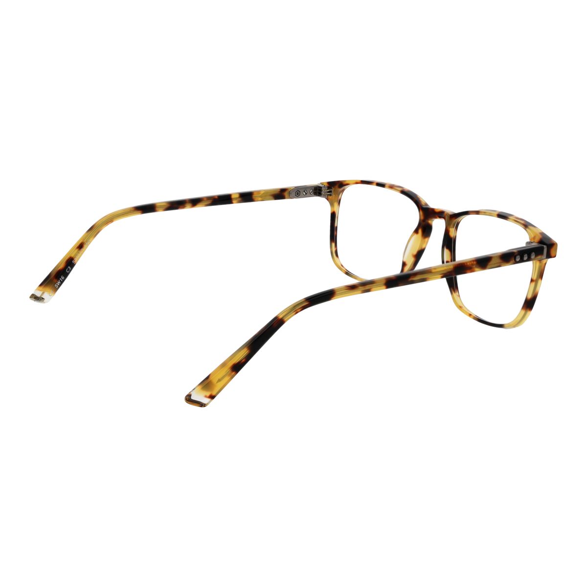 Ramă de Ochelari Unisex Taylor Morris SW16 52C3