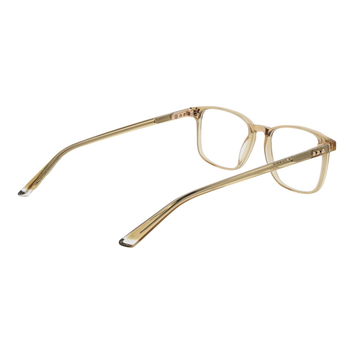 Ramă de Ochelari Unisex Taylor Morris SW16 52C9