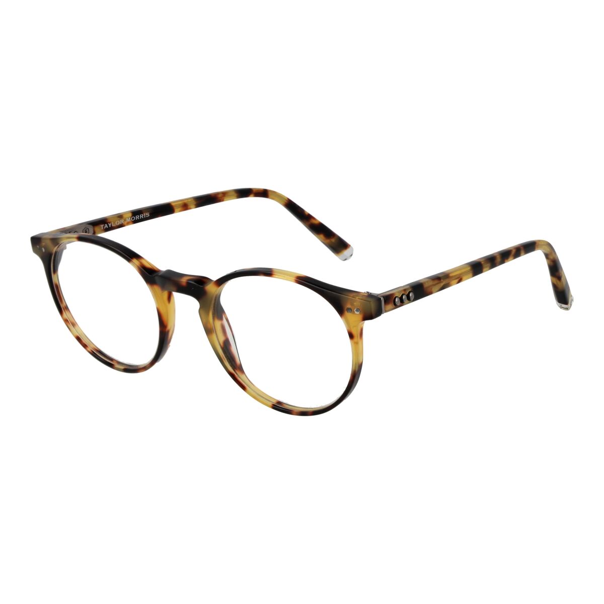 Ramă de Ochelari Unisex Taylor Morris SW17 48C3