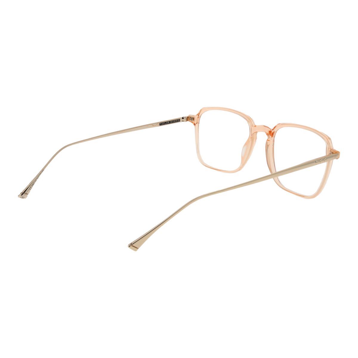 Ramă de Ochelari Unisex Taylor Morris SW3 53C5