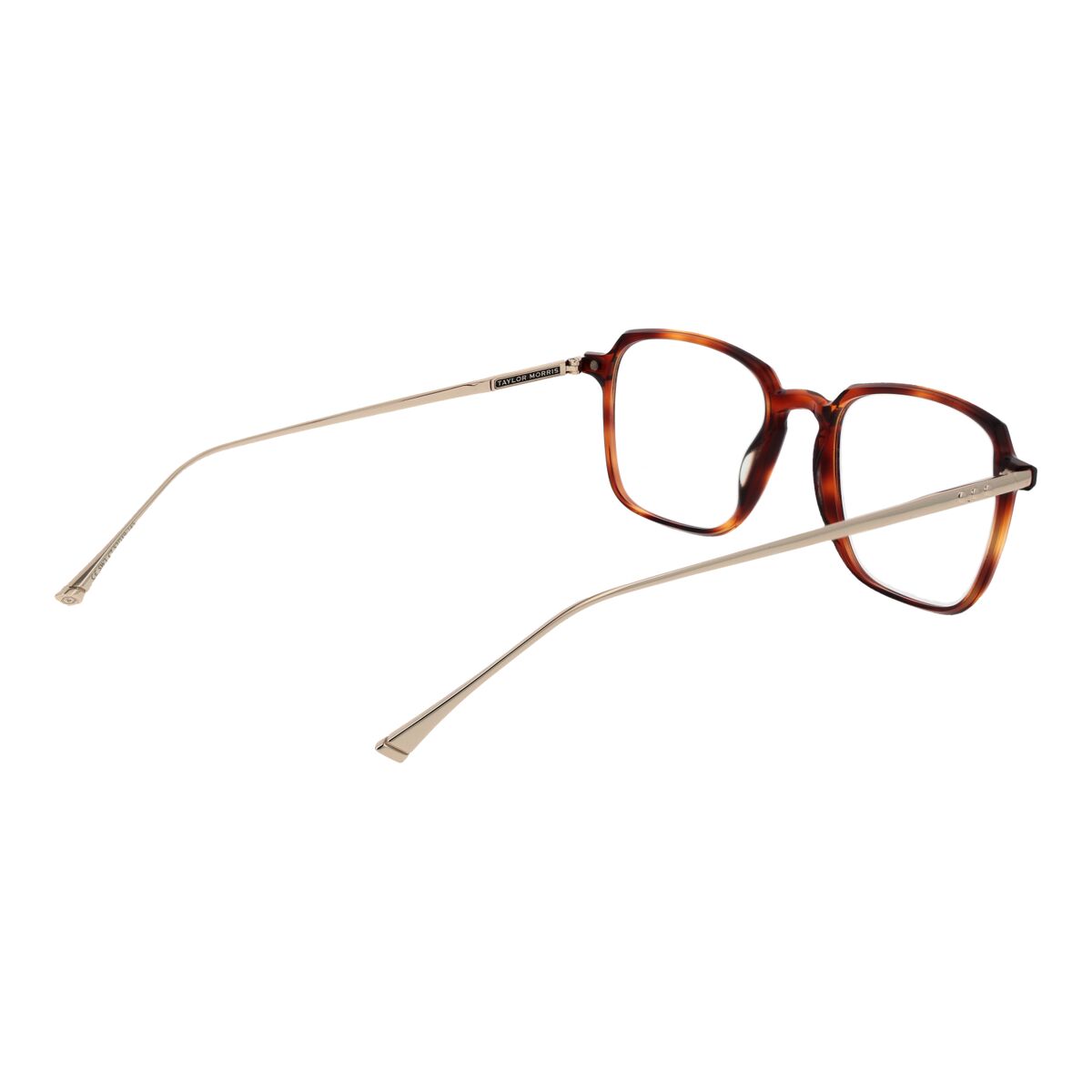 Ramă de Ochelari Unisex Taylor Morris SW3 53C7