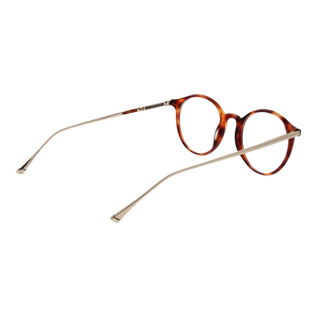 Ramă de Ochelari Unisex Taylor Morris SW4 49C5