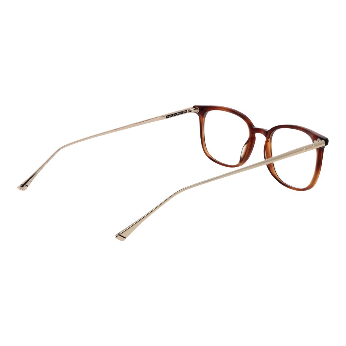 Ramă de Ochelari Unisex Taylor Morris TM06 49C2