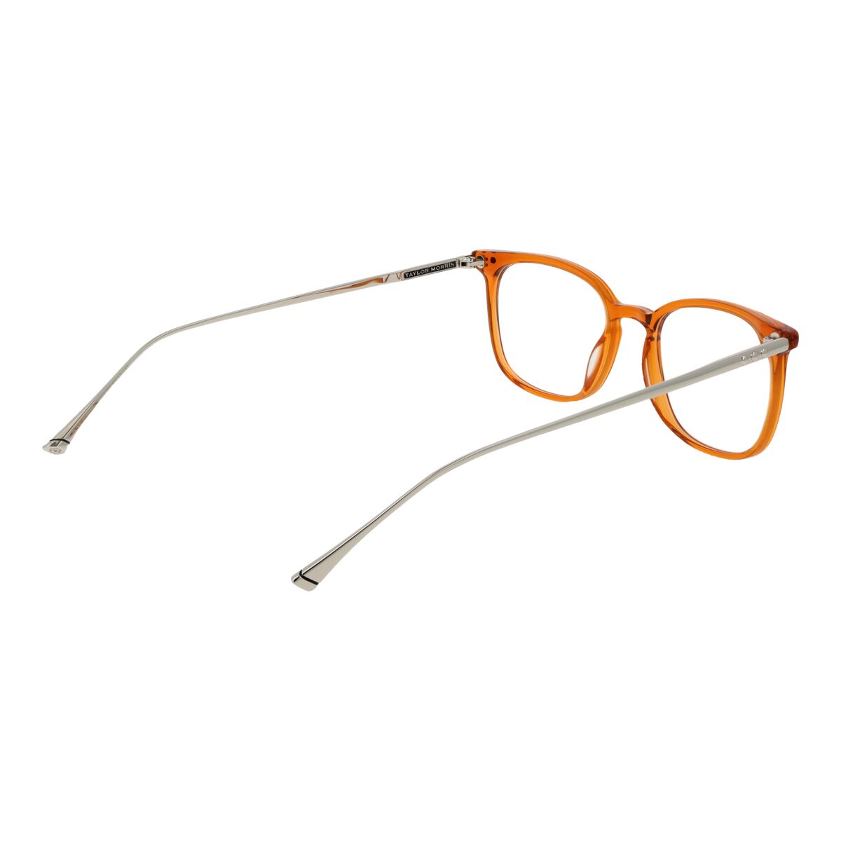 Ramă de Ochelari Unisex Taylor Morris TM06 49C3
