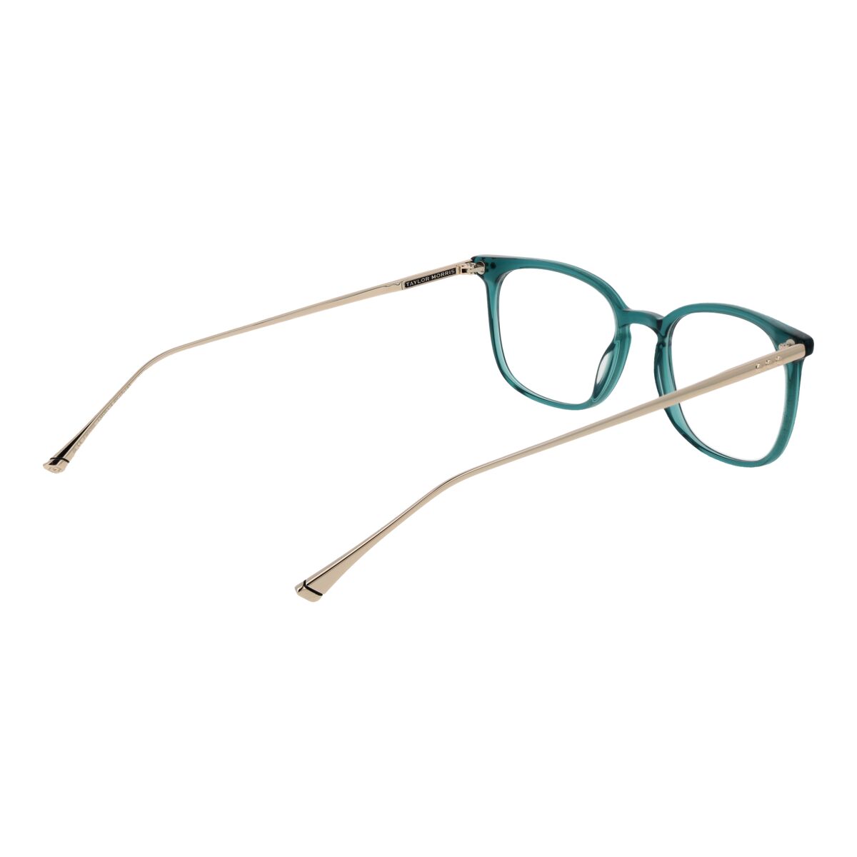 Ramă de Ochelari Unisex Taylor Morris TM06 49C4