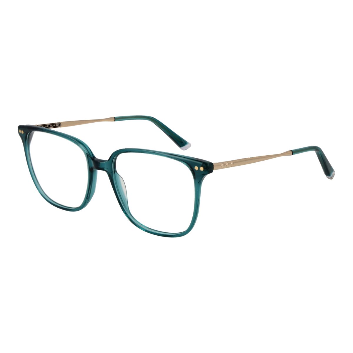 Ramă de Ochelari Unisex Taylor Morris TM08 53C4