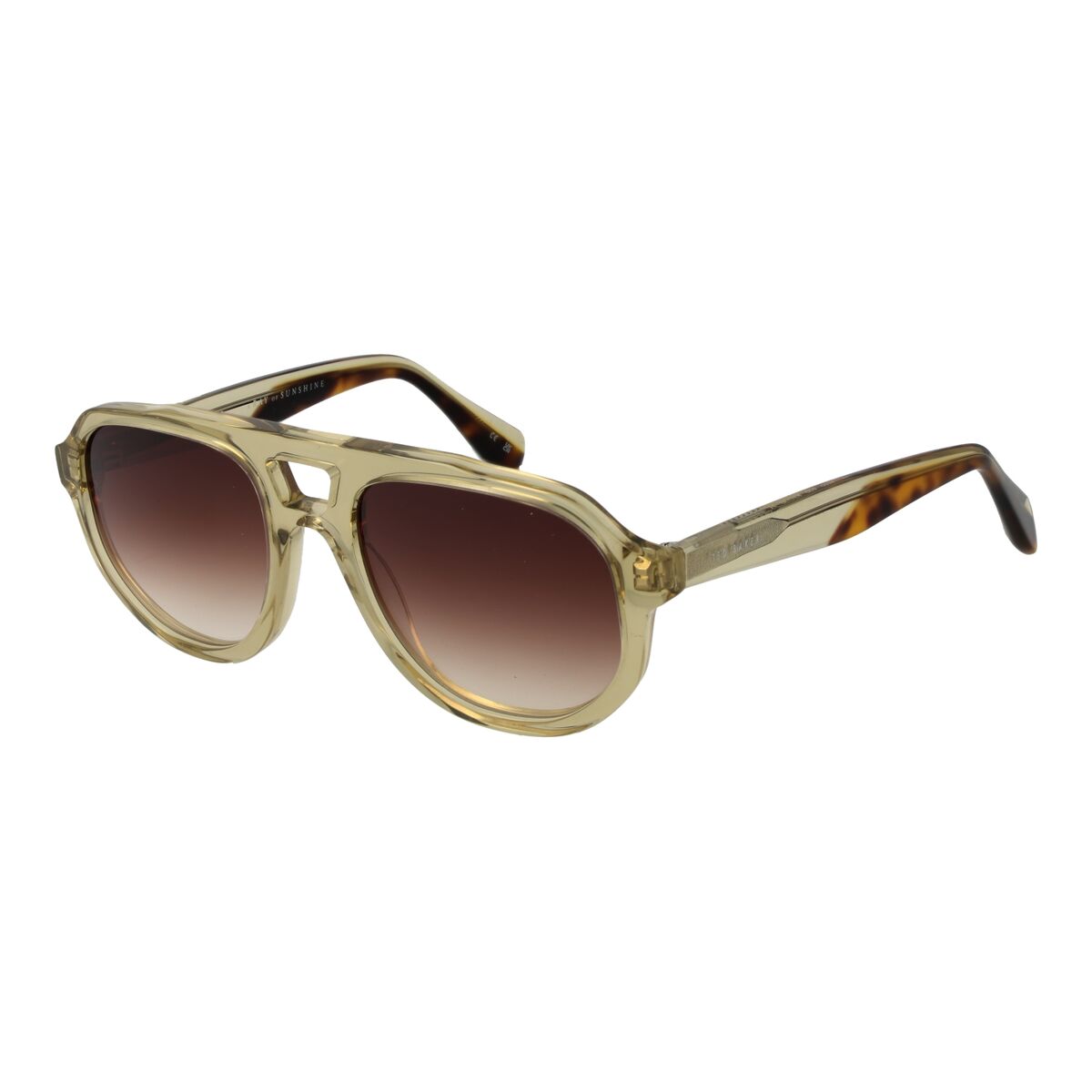 Ochelari de Soare Bărbați Ted Baker TB1692 53939 Multicolor