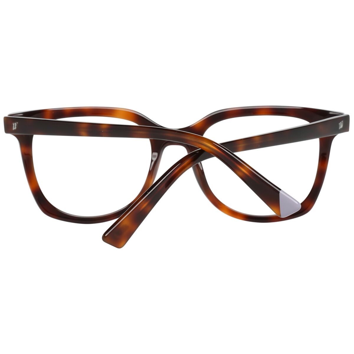 Ramă de Ochelari Unisex WEB EYEWEAR WE5260 49052