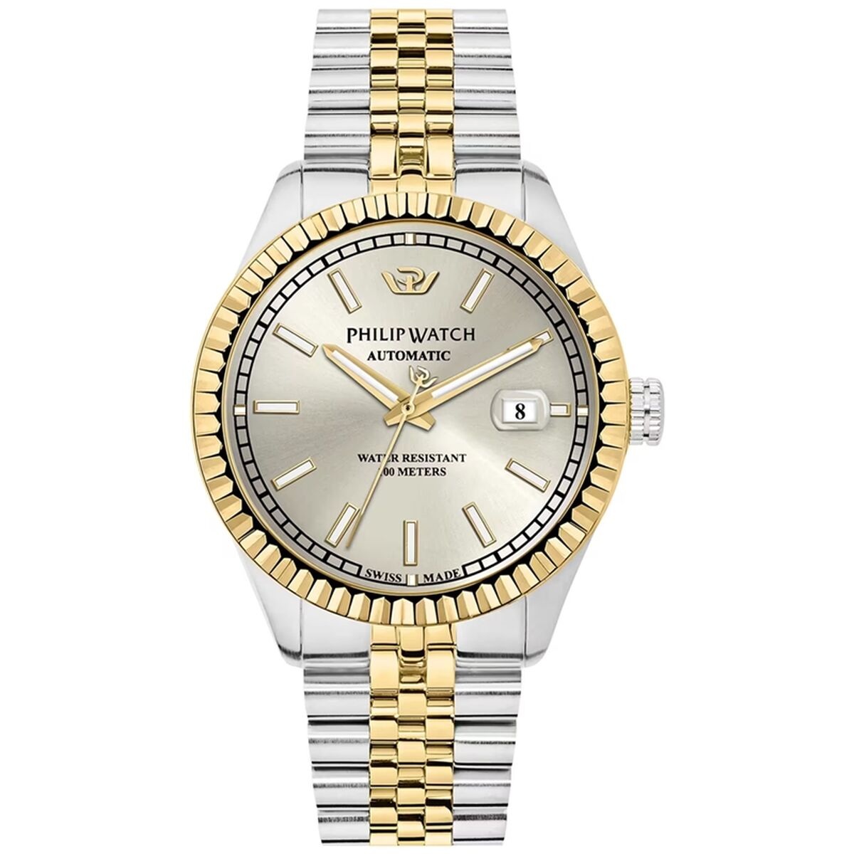 Ceas Bărbați Philip Watch R8223597025 Argintiu