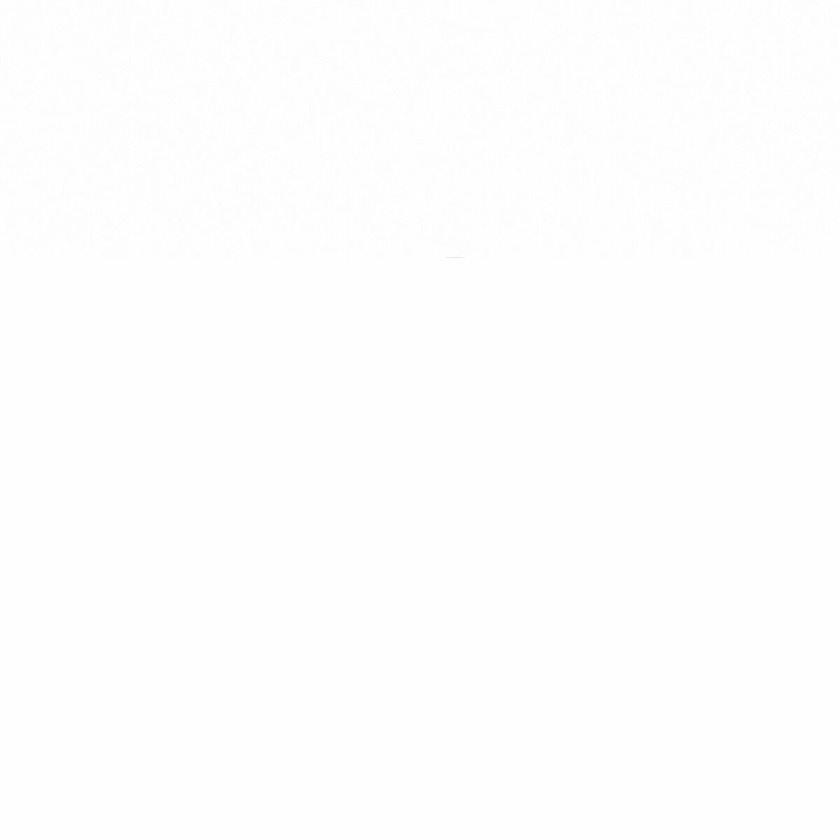 Cercei pentru Slăbit Biomagnetici  Slimagnetic InnovaGoods