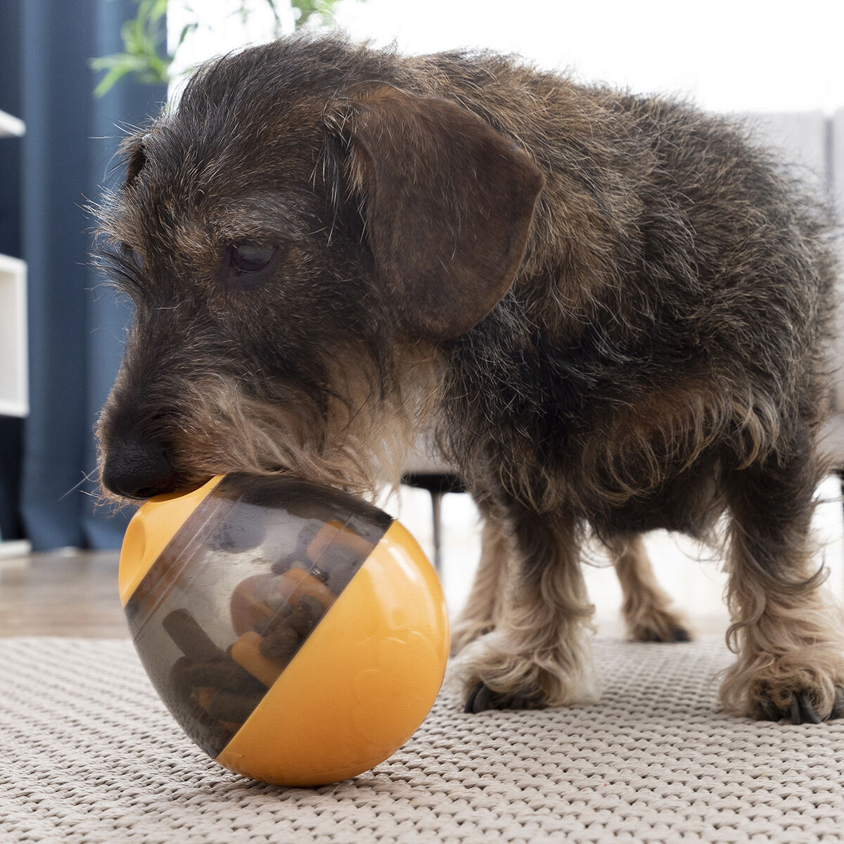 Distribuitor de mâncare 2 în 1 jucărie pentru animale de companie Petyt InnovaGoods