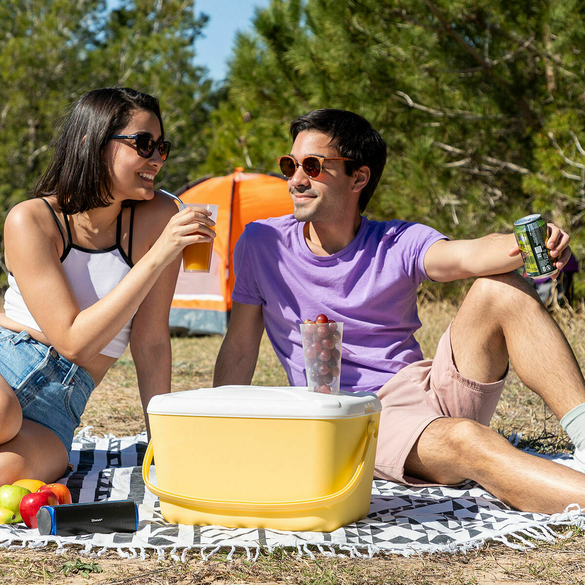 Ladă frigorifică Lilty InnovaGoods 15 L