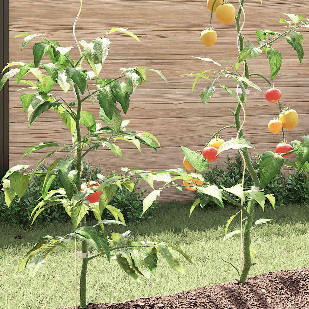 vidaXL Spirale pentru suport plante, 50 buc., 170 cm, oțel galvanizat vidaXL Spirale pentru suport plante, 50 buc., 170 cm, oțel galvanizat