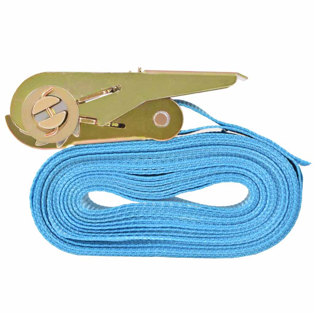 vidaXL Chingi fixare cu clichet 4 buc, 0,8 tone, 6 m x 25 mm, albastru vidaXL Chingi fixare cu clichet 4 buc, 0,8 tone, 6 m x 25 mm, albastru