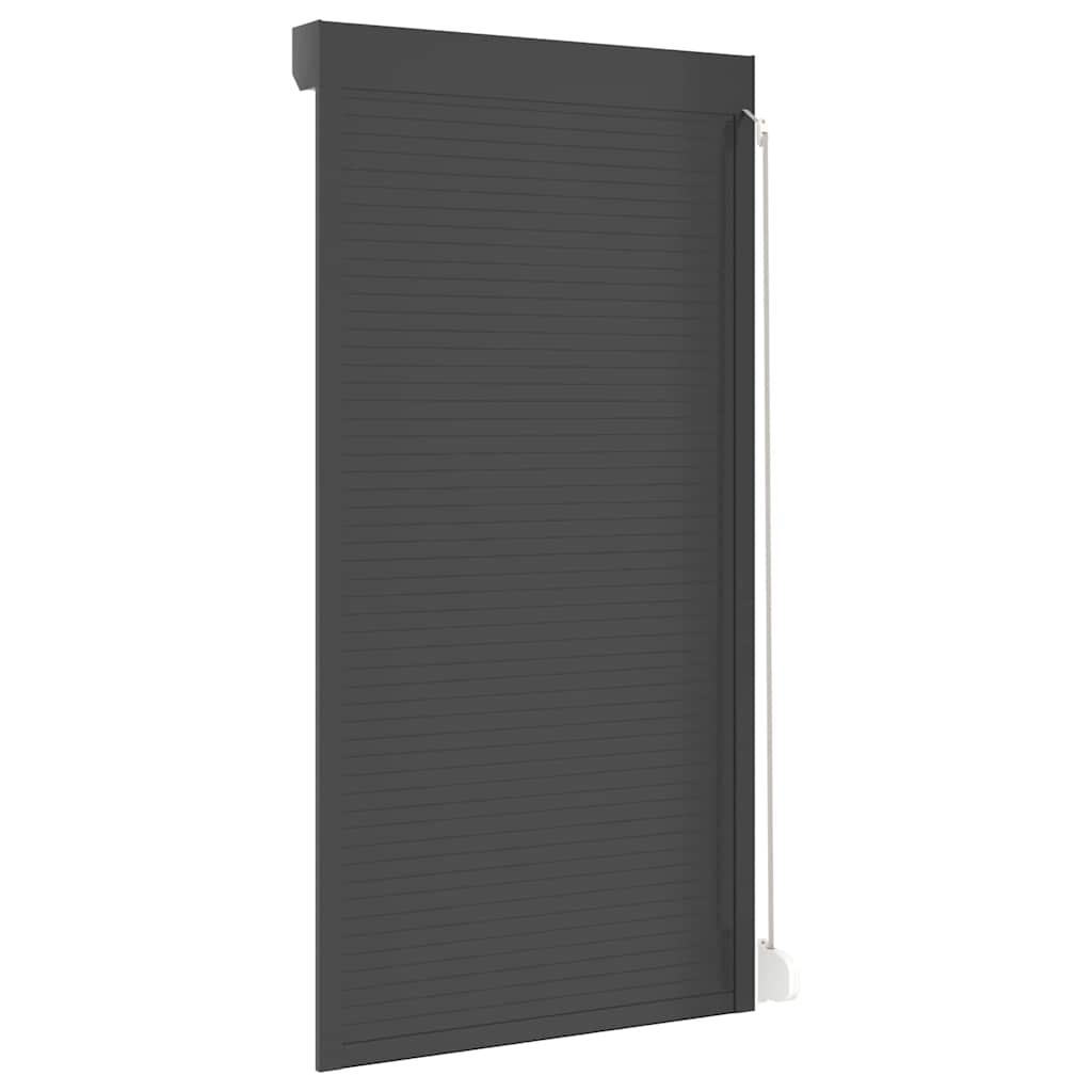vidaXL Oblon rulant, antracit, 110 x 220 cm, aluminiu vidaXL Oblon rulant, antracit, 110 x 220 cm, aluminiu