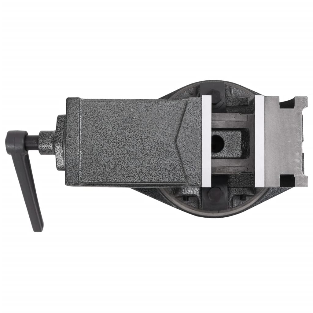 vidaXL Menghină cu înclinare, cu 2 axe, 100 mm vidaXL Menghină cu înclinare, cu 2 axe, 100 mm