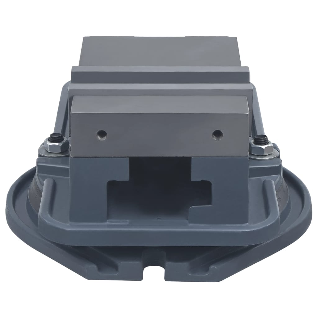 vidaXL Menghină pivotantă, 160 mm, fontă