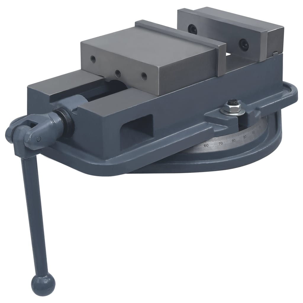 vidaXL Menghină pivotantă, 160 mm, fontă