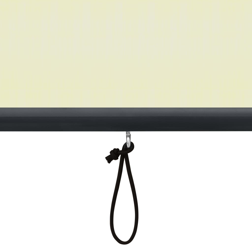 vidaXL Jaluzea tip rulou de exterior, crem, 120 x 250 cm vidaXL Jaluzea tip rulou de exterior, crem, 120 x 250 cm