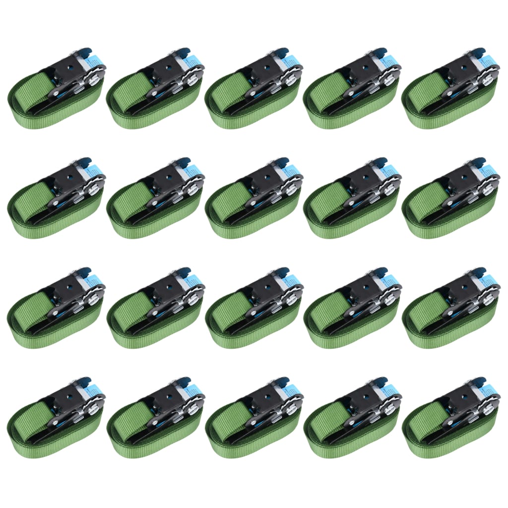 vidaXL Chingi de fixare cu clichet, 20 buc., verde, 6 m, 800 daN vidaXL Chingi de fixare cu clichet, 20 buc., verde, 6 m, 800 daN