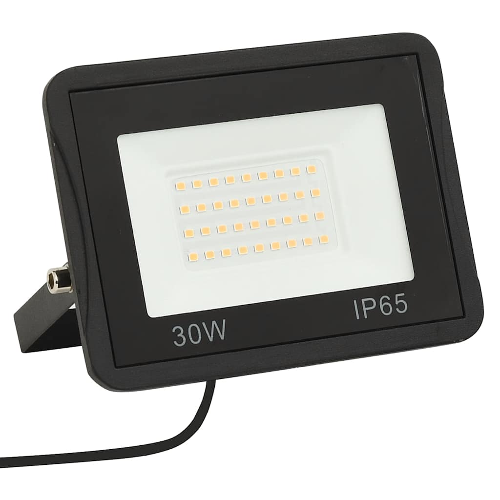 vidaXL Proiectoare cu LED, 30 W, 2 buc., alb cald vidaXL Proiectoare cu LED, 30 W, 2 buc., alb cald