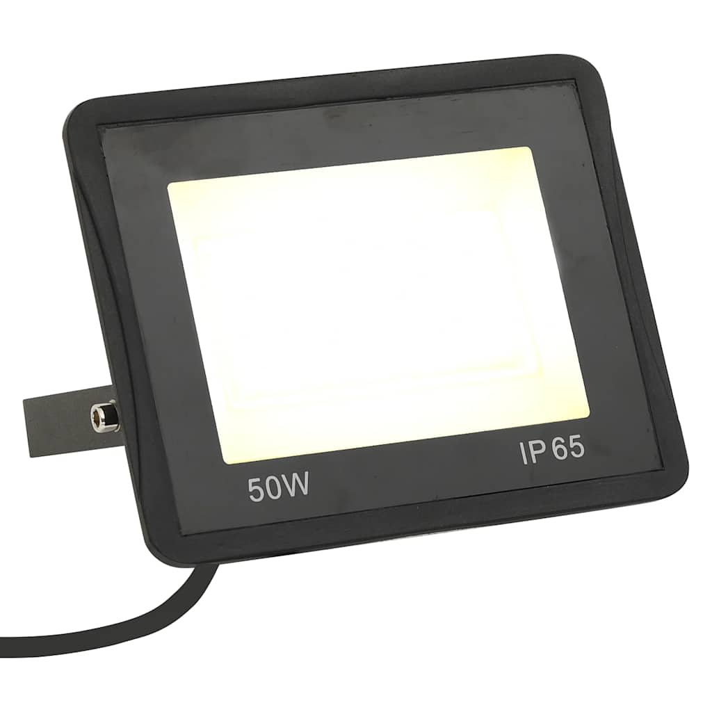 vidaXL Proiectoare cu LED, 50 W, 2 buc., alb cald