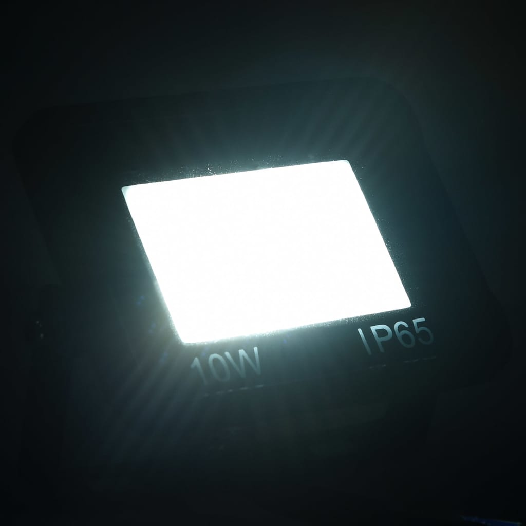 vidaXL Proiectoare cu LED, 10 W, 2 buc., alb rece vidaXL Proiectoare cu LED, 10 W, 2 buc., alb rece