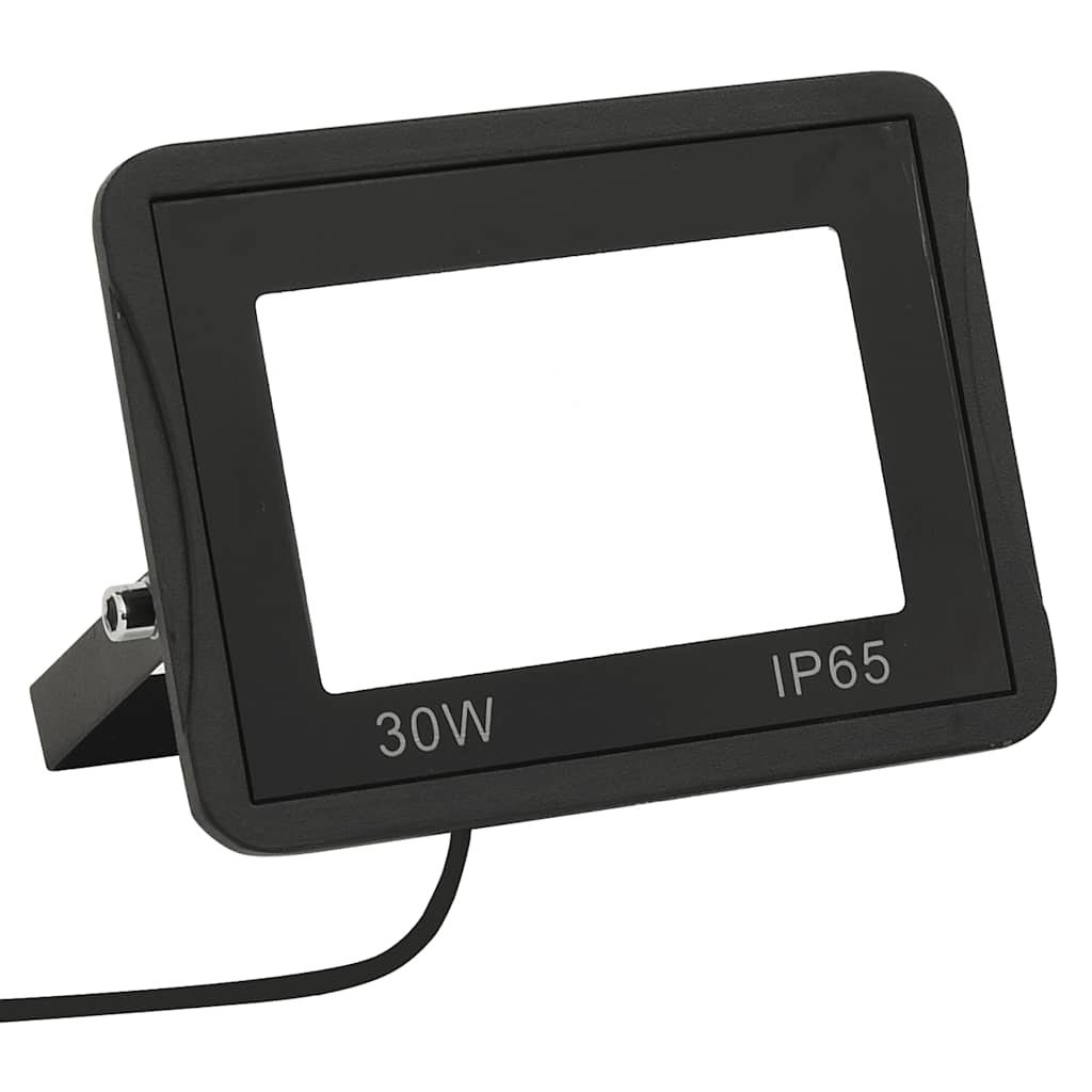 vidaXL Proiectoare cu LED, 30 W, 2 buc., alb rece vidaXL Proiectoare cu LED, 30 W, 2 buc., alb rece