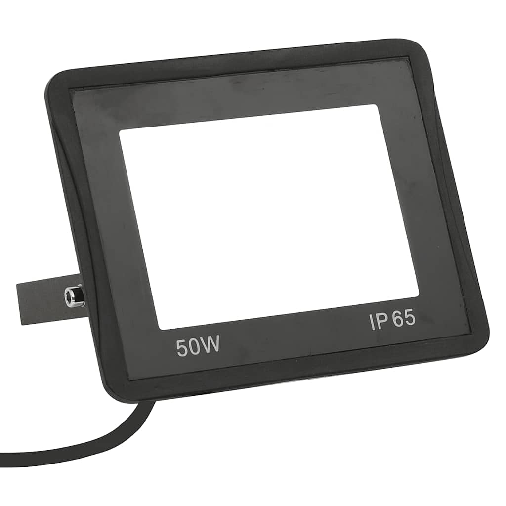 vidaXL Proiectoare cu LED, 50 W, 2 buc., alb rece