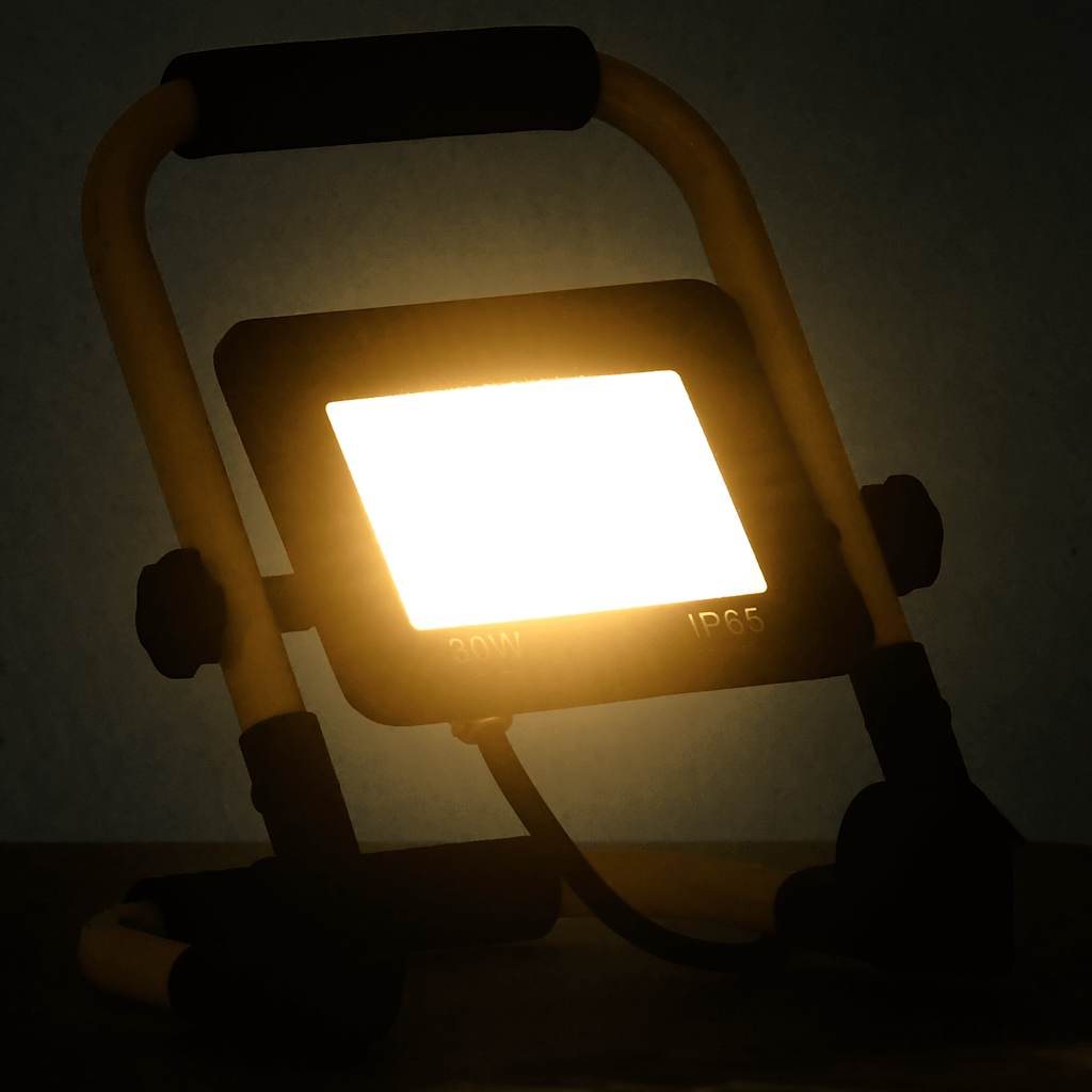 vidaXL Proiector cu LED și mâner, 30 W, alb cald vidaXL Proiector cu LED și mâner, 30 W, alb cald