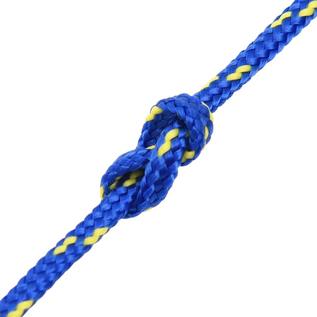 vidaXL Frânghie de barcă, albastru, 2 mm, 500 m, polipropilenă vidaXL Frânghie de barcă, albastru, 2 mm, 500 m, polipropilenă