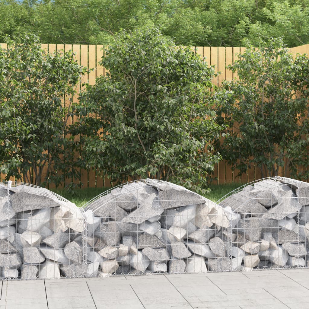 vidaXL Coș gabion arcuit, 100x50x40/60 cm, fier galvanizat vidaXL Coș gabion arcuit, 100x50x40/60 cm, fier galvanizat