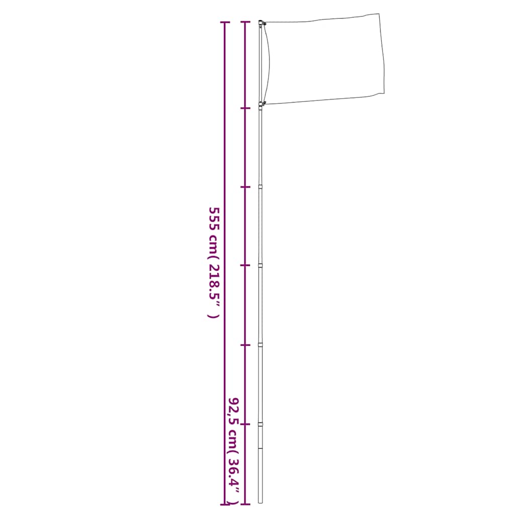 vidaXL Stâlp de steag telescopic, argintiu, 5,55 m, aluminiu vidaXL Stâlp de steag telescopic, argintiu, 5,55 m, aluminiu