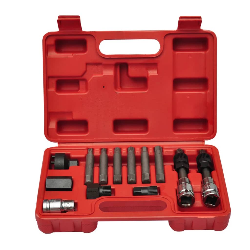 vidaXL Kit de scule pentru alternator vidaXL Kit de scule pentru alternator