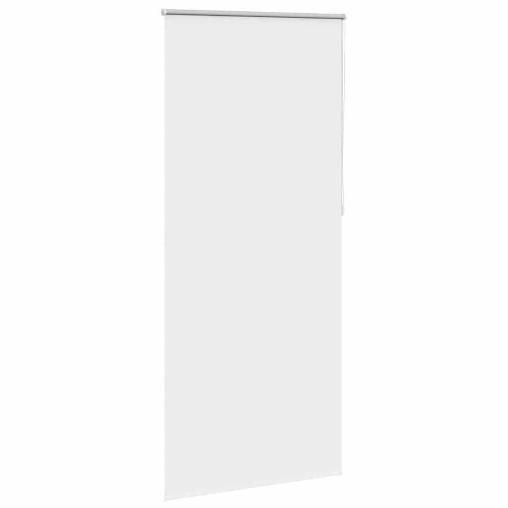 Jaluzea opacă rulabilă, 100 x 230 cm, alb Jaluzea opacă rulabilă, 100 x 230 cm, alb