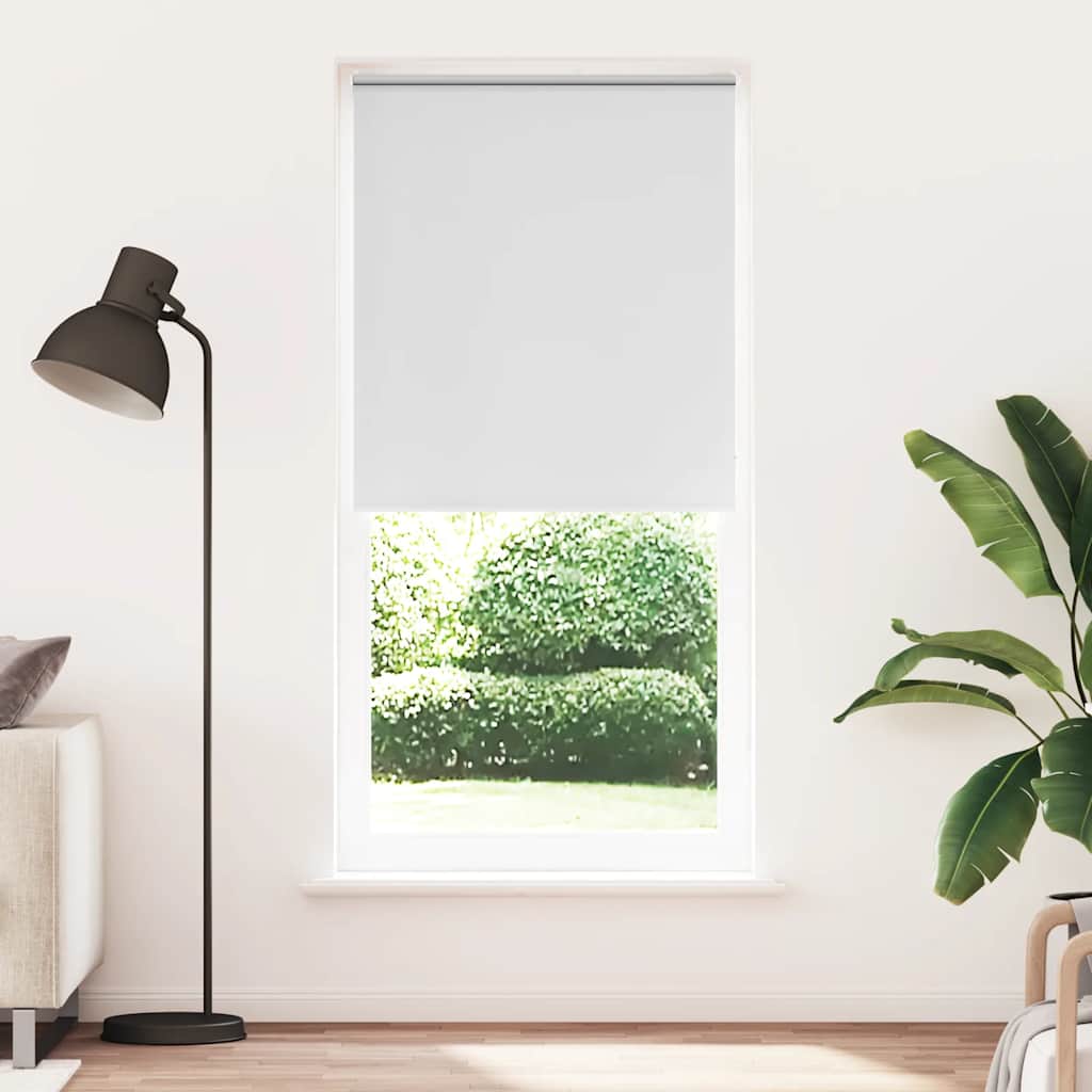 Jaluzea opacă rulabilă, 100 x 230 cm, alb Jaluzea opacă rulabilă, 100 x 230 cm, alb